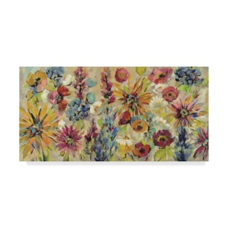 Silvia Vassileva 'May Garden' Canvas Art,24x47